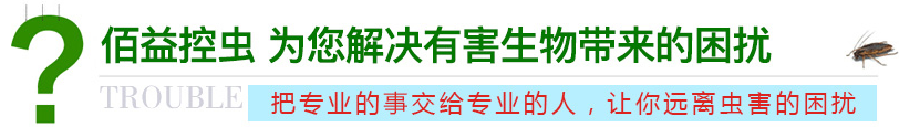 佰益控蟲(chóng) 為您解決有害生物帶來(lái)的困擾