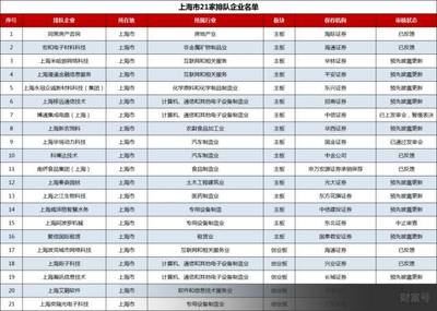 IPO新報 300家排隊企業大數據揭秘，全景掃描25省市、51券商、63行業布局